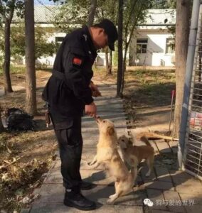 cina_8