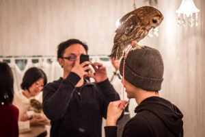 owlcafe2