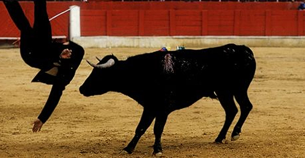 URGE EU TO STOP SUBSIDISING BULLFIGHT