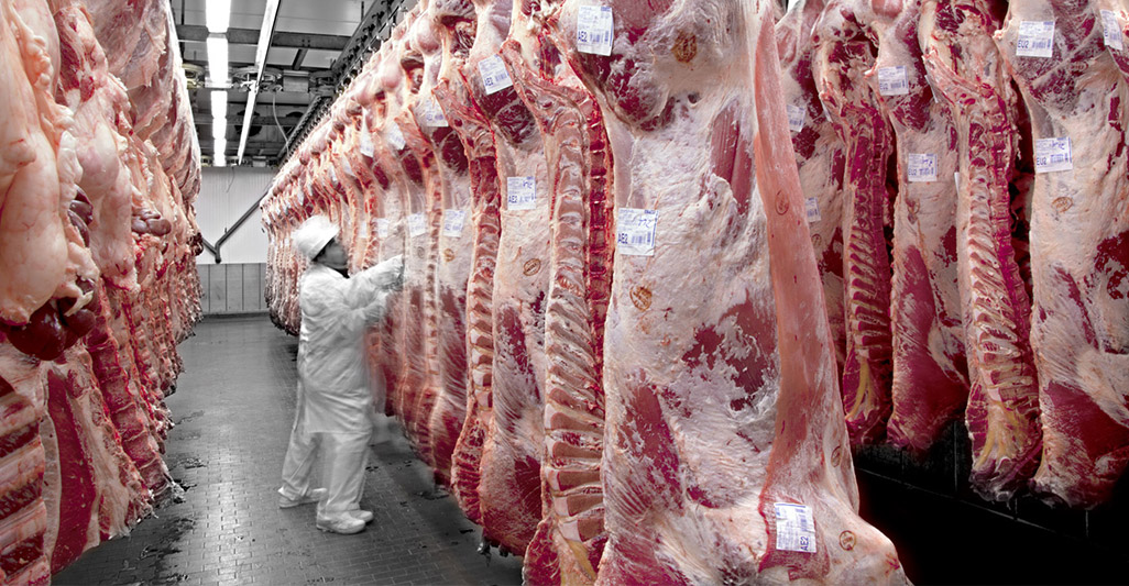 Slaughterhouses