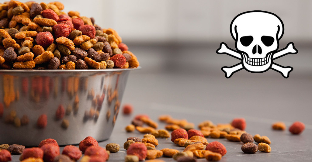 About IAMS