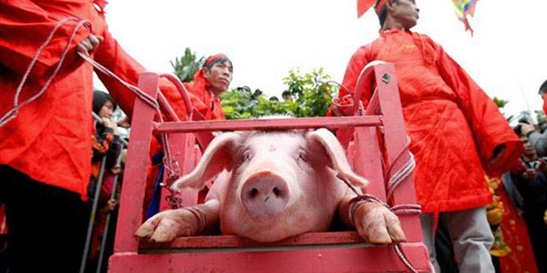 FOLLOWING PROTESTS, VIETNAMESE NEM THUONG FESTIVAL HAS BEEN CANCELLED