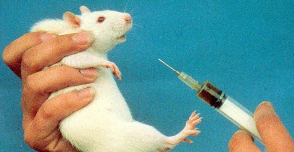 OIPA JOINS THE INTERNATIONAL INITIATIVE  “STOP VIVISECTION”: SIGN THE ONLINE PETITION!