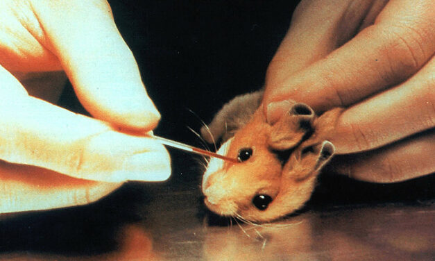 TIME IS RUNNING OUT FOR STOP VIVISECTION, THE INITIATIVE TO END VIVISECTION IN EUROPE
