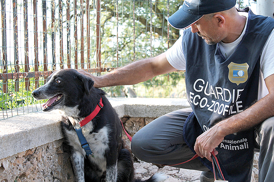 ANIMAL CORPS OIPA International – WE MAKE THE DIFFERENCE!