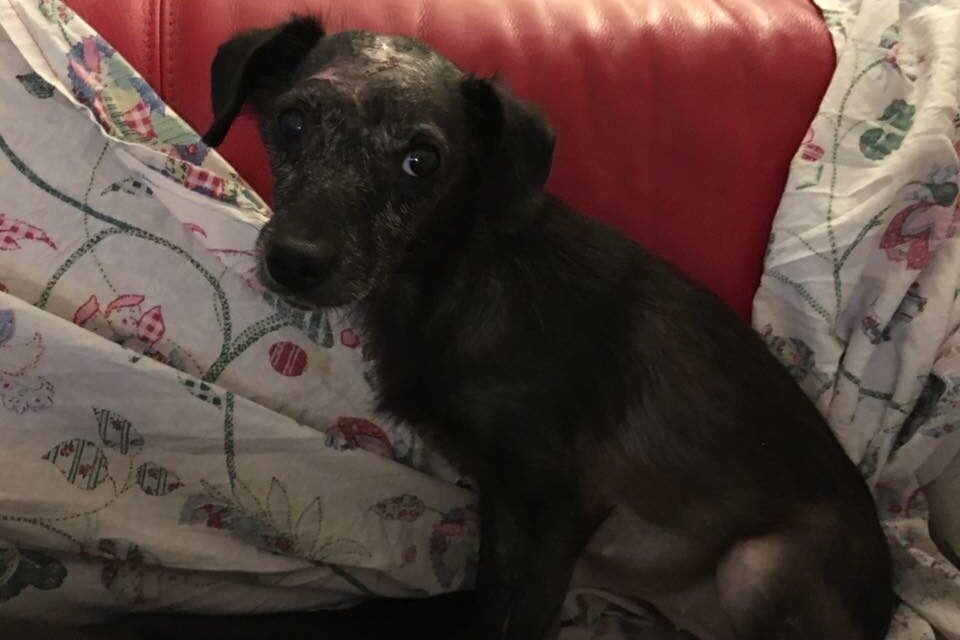 ETNA IS RECOVERING VERY WELL, BUT SHE STILL NEEDS YOUR SUPPORT.
