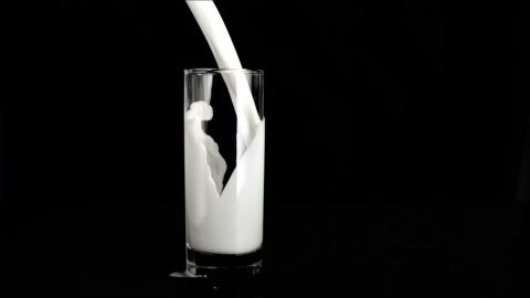 MILK YES OR MILK NOT?