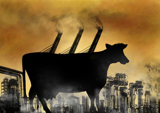 REDUCING MEAT CONSUMPTION TO TACKLE CLIMATE CHANGE – WHY THE MEDIA DON’T TALK ABOUT THIS ISSUE