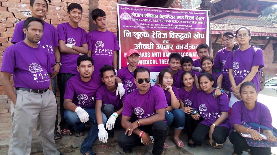 OIPA NEPAL – FIGHTING TO END RITUAL SACRIFICES AND RESCUE STRAY ANIMALS!