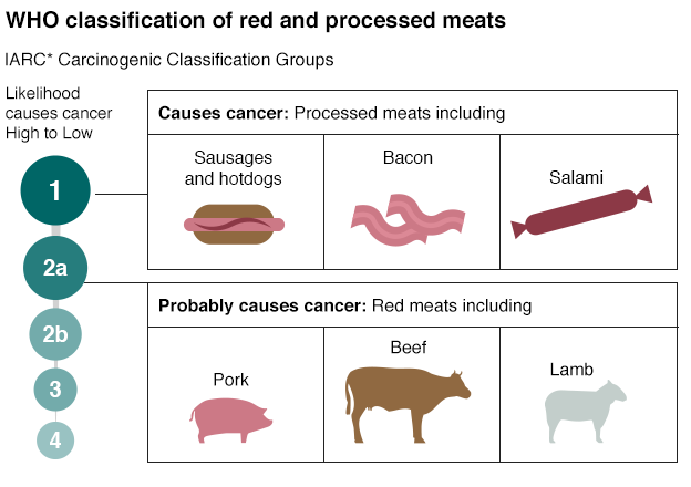 MEAT AND CANCER, FINALLY THE TRUTH