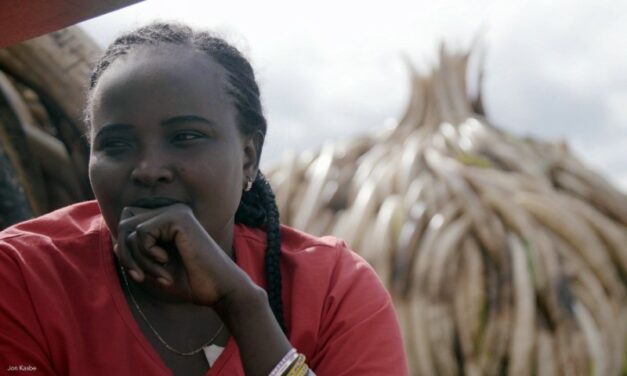 KENYA – WHEN A 26 YEARS OLD GIRL FIGHTS THE POACHERS AND WINS!