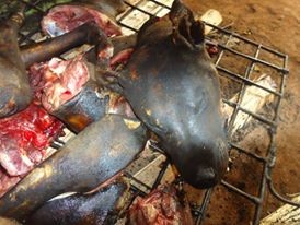 OIPA CAMEROON EXPERIENCED A SAD DAY DURING ITS VACCINATION CAMPAIGN IN THE BAFUT VILLAGE.