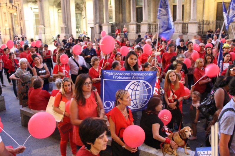 OIPA ITALY: MARCH AGAINST YULIN IN MILAN