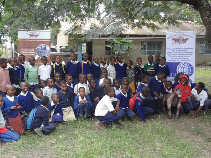 OIPA TANZANIA – Kitefu primary School and animal welfare education