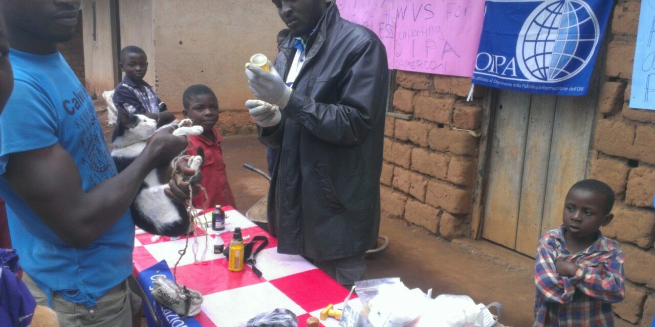 OIPA CAMEROON CONTINUE THE VACCINATION CAMPAIGN IN THE BAFUT VILLAGE OF CAMEROON