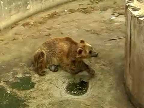 BITOLA, MACEDONIA: A LAGER NAMED ZOO