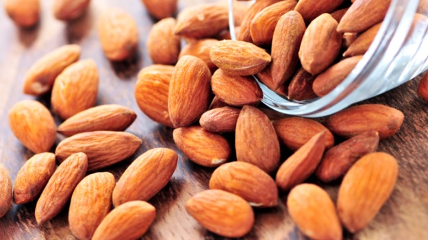 VEGETABLE PROTEINS: ENERGY FOR THE REGENERATION OF THE BODY