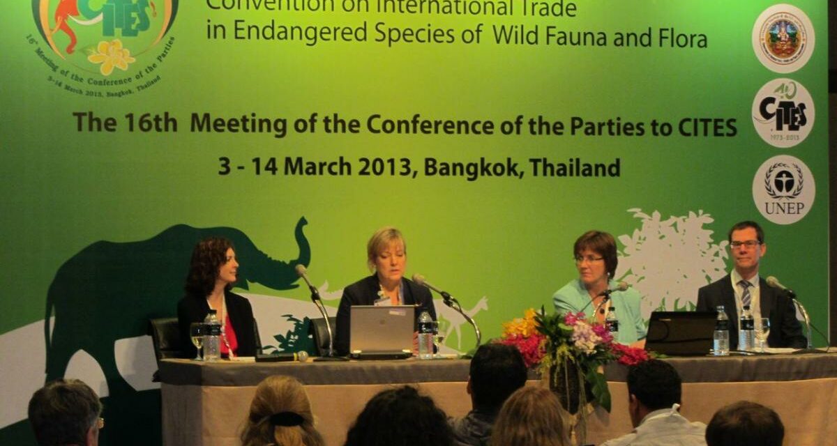 THE CITES (COP17) CONFERENCE WILL BE RUNNING FROM SEPTEMBER 24TH TO OCTOBER 5TH