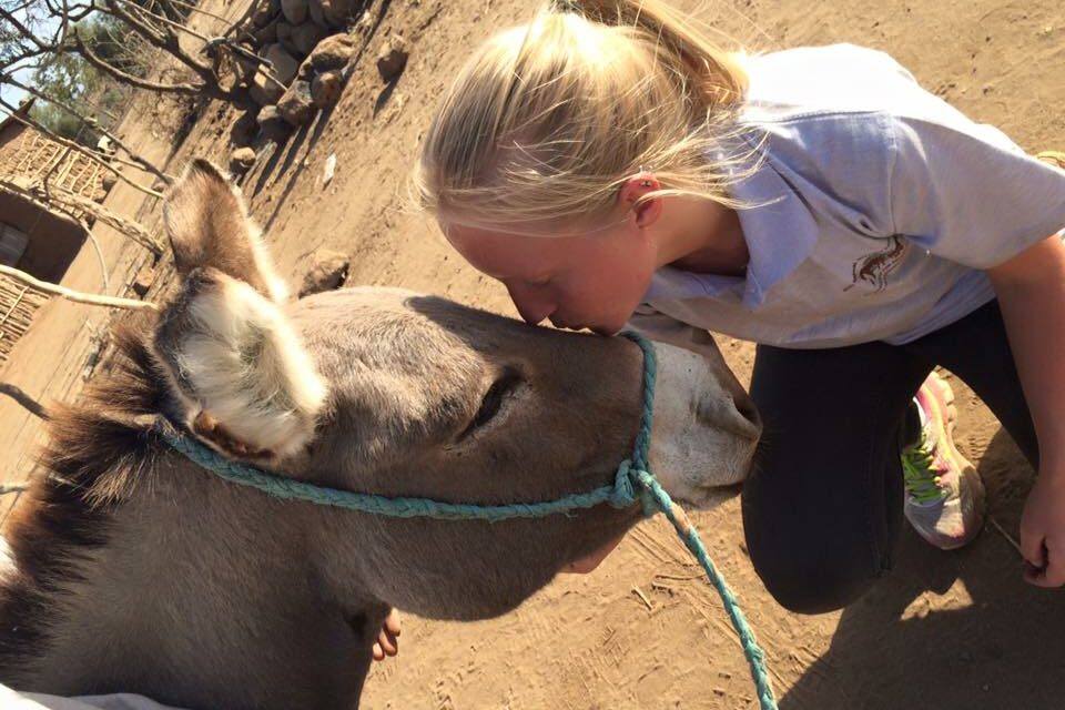 OIPA TANZANIA – COMMUNITY PROJECTS AND DONKEYS’ WELFARE EDUCATION