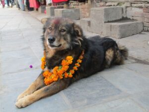 tihar-2