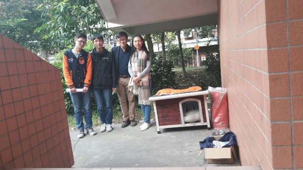 THE STRAY CAT FOUND HOME IN THE SCHOOL, CHINA
