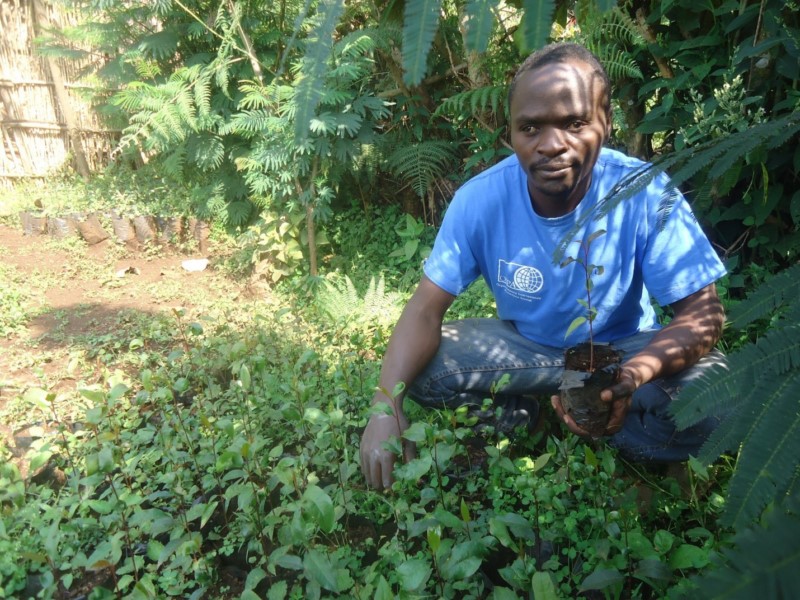 SAVE THE ANIMALS AND THE KEDJOM-KEKU FOREST WITH OIPA CAMEROON
