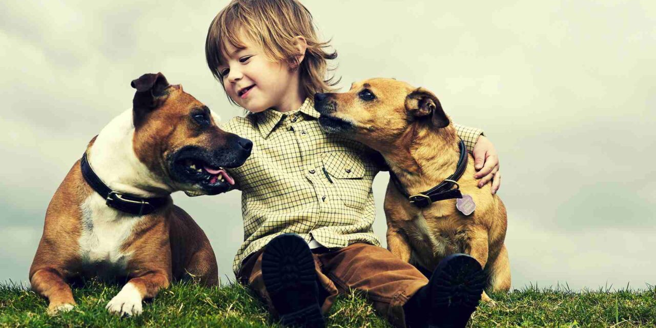 ANIMALS’ SENSE OF FAIRNESS