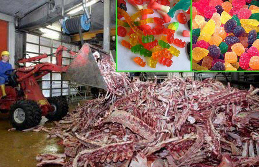 Do you know what gelatin is made of?