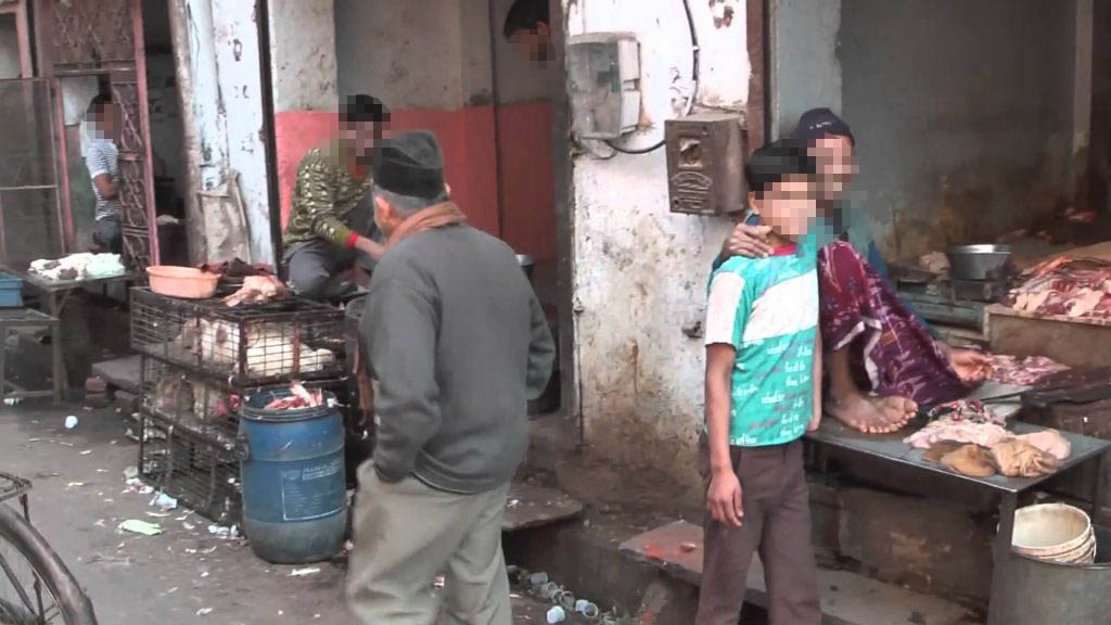 OIPA INDIA PETITION AGAINST UNLAWFUL MEAT SHOPS