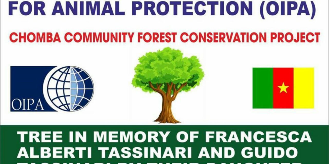 LAUNCHING OF THE “CHOMBA COMMUNITY FOREST CONSERVATION PROJECT” IN THE NORTHWEST REGION OF CAMEROON