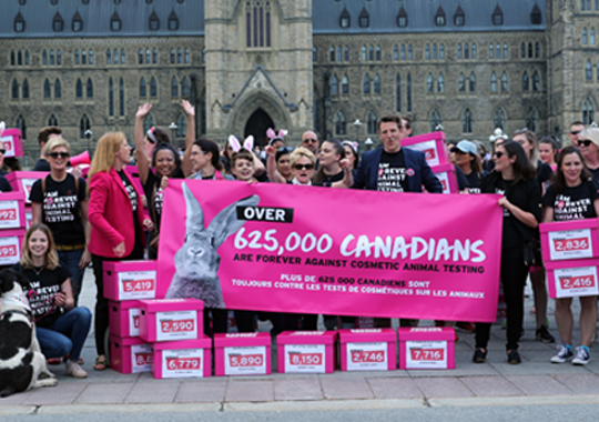CANADA IS ONE STEP CLOSER TO GOING CRUELTY-FREE FOR COSMETICS