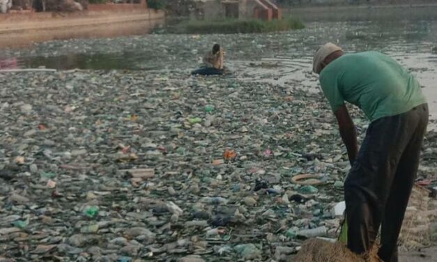 OIPA INDIA ASKS FOR IMMEDIATE ACTION TO STOP WATER POLLUTION LEVELS FROM RISING IN THE STATE OF HARYANA