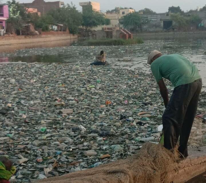 OIPA INDIA ASKS FOR IMMEDIATE ACTION TO STOP WATER POLLUTION LEVELS FROM RISING IN THE STATE OF HARYANA