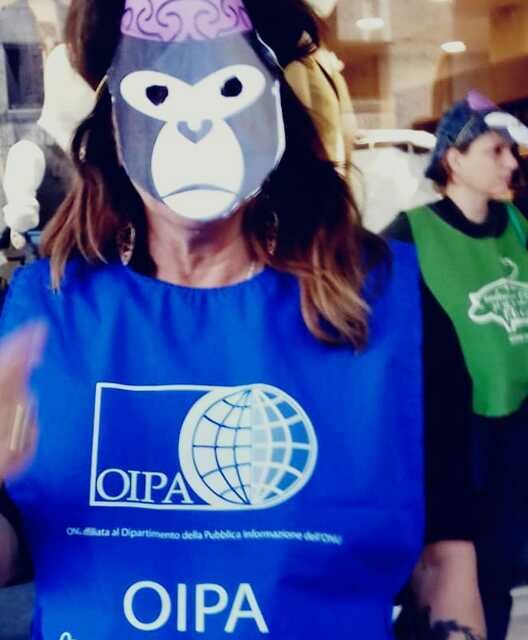 LET’S FREE THE MACAQUES!