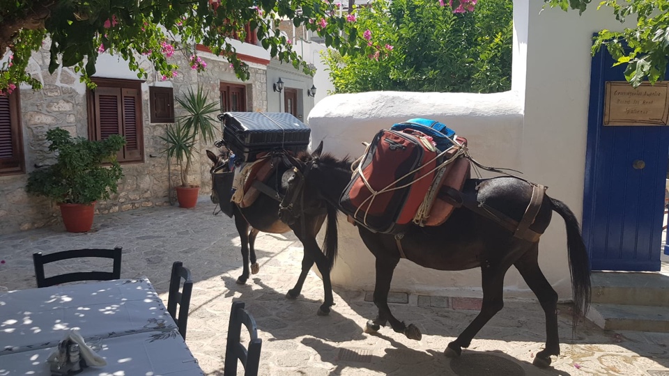 THE UGLY SIDE OF GREEK ISLANDS – DONKEYS USED AS TAXIS FOR LAZY AND OVERWEIGHT TOURISTS