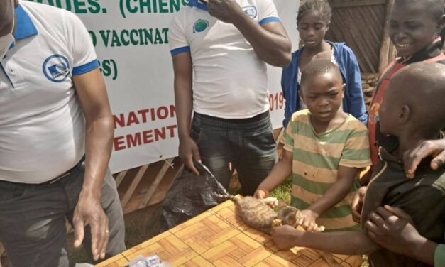 SPREADING RESPECT FOR DOMESTIC ANIMALS IN CAMEROON