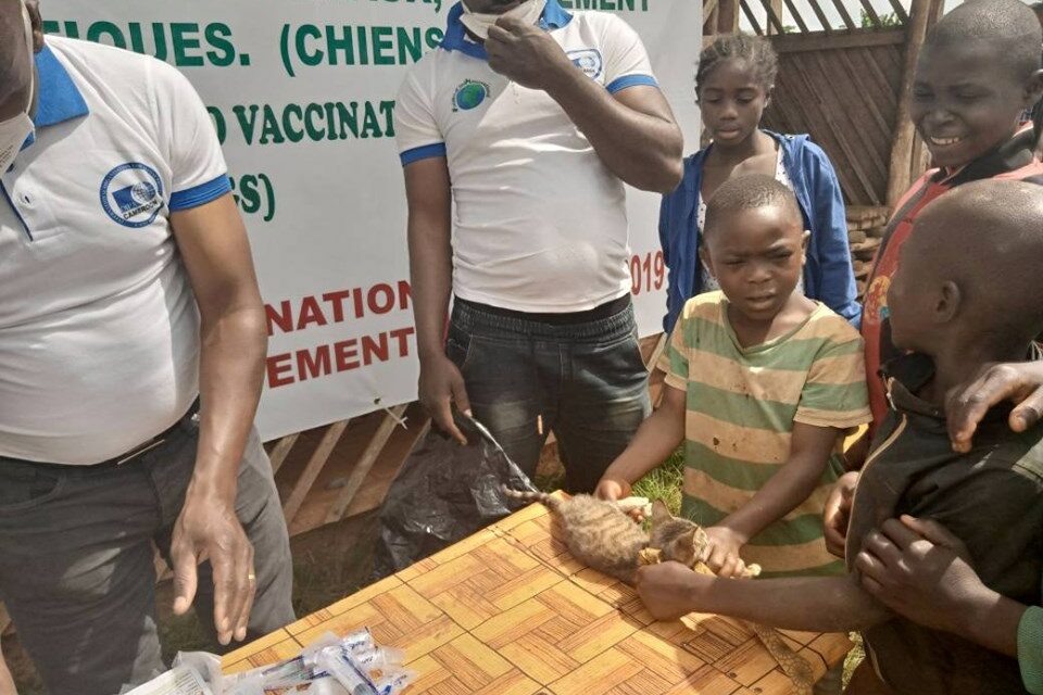 SPREADING RESPECT FOR DOMESTIC ANIMALS IN CAMEROON
