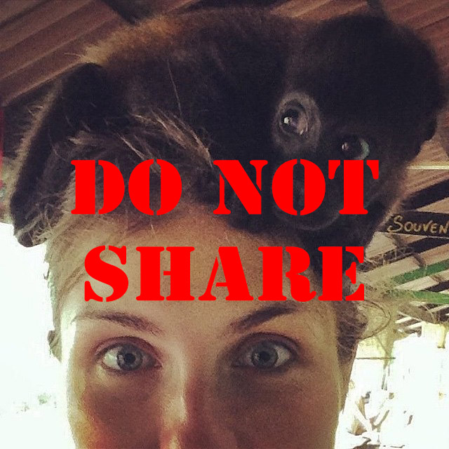 HOW SHARING VIDEOS AND PHOTOS OF WILD ANIMALS INTERACTING WITH PEOPLE IS PUTTING THEM IN DANGER – PART 1