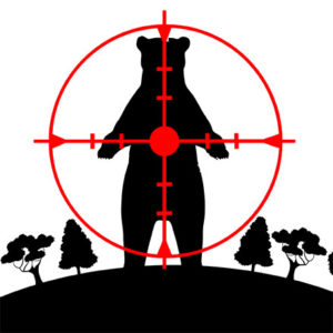 BEAR SENTENCED TO DEATH: OIPA ITALY AGAINST THE LOCAL GOVERNMENT OF TRENTO FOR INDISCRIMINATELY CULLING BEARS WITHOUT A “TRIAL”