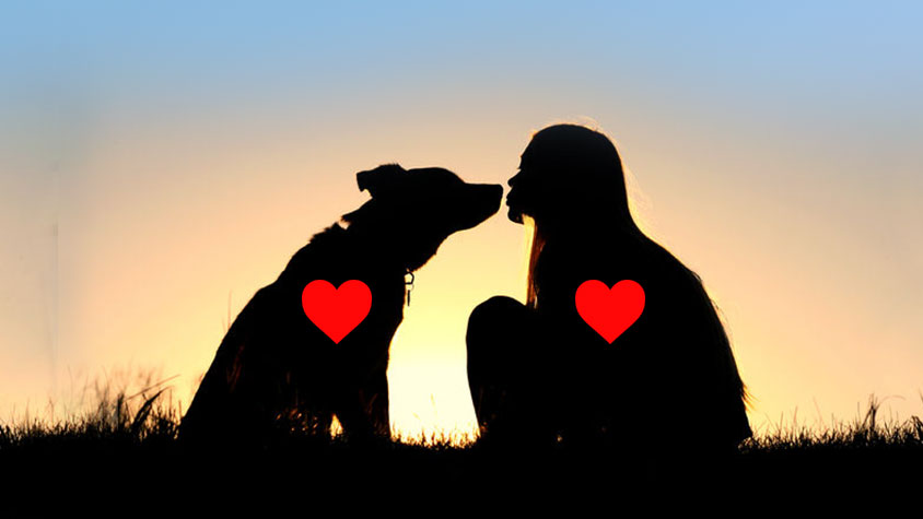 INTERNATIONAL DOG DAY: A SPECIAL DAY TO CELEBRATE ALL DOGS AROUND THE WORLD!