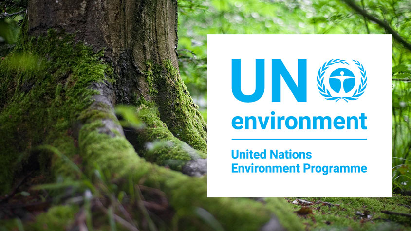PLANETARY CHALLENGES AND ENVIRONMENTAL SUSTAINABILITY: VIRTUAL DISCUSSION ABOUT UNEP MEDIUM-TERM STRATEGY 2022 – 2025 