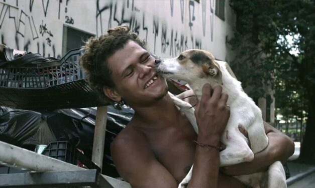 SAO PAULO CITY IN BRAZIL SUPPORTS LOCAL ANIMAL FOSTER GUARDIANS