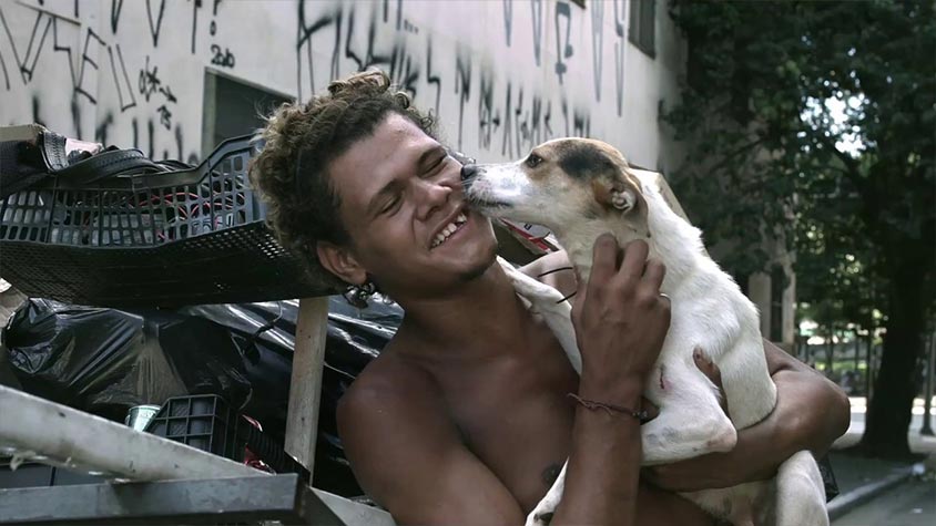 SAO PAULO CITY IN BRAZIL SUPPORTS LOCAL ANIMAL FOSTER GUARDIANS