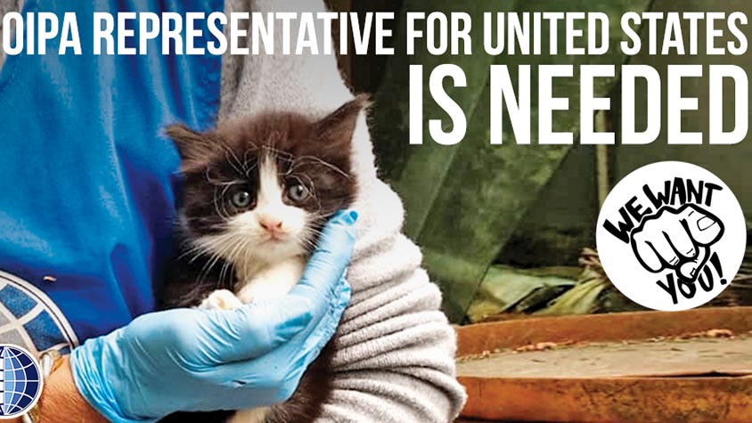 INTERNATIONAL REPRESENTATIVE FOR UNITED STATES WANTED. BE THE VOICE OF THE VOICELESS!
