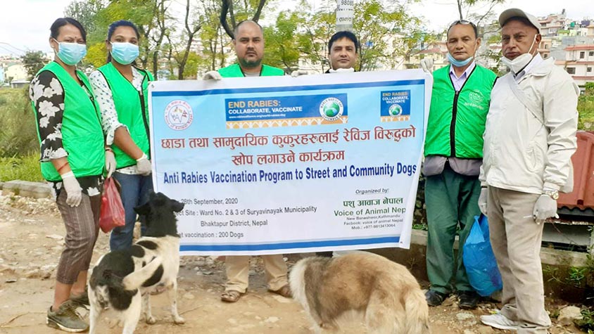 LET’S START WITH THE ABC! THE ANIMAL BIRTH CONTROL PROGRAM FOR STRAY DOGS OF VOICE OF ANIMAL NEPAL: SPAY/NEUTER AND ANTI RABIES VACCINATION ACTIVITIES