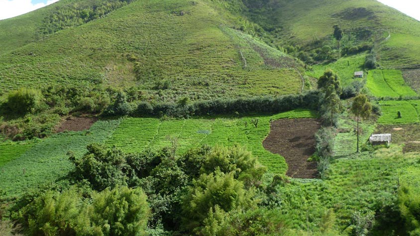 MOUNT BAMBOUTOS FOREST CONSERVATION PROJECT – OIPA CAMEROON RAISES AWARENESS ON SUSTAINABLE FOREST MANAGEMENT
