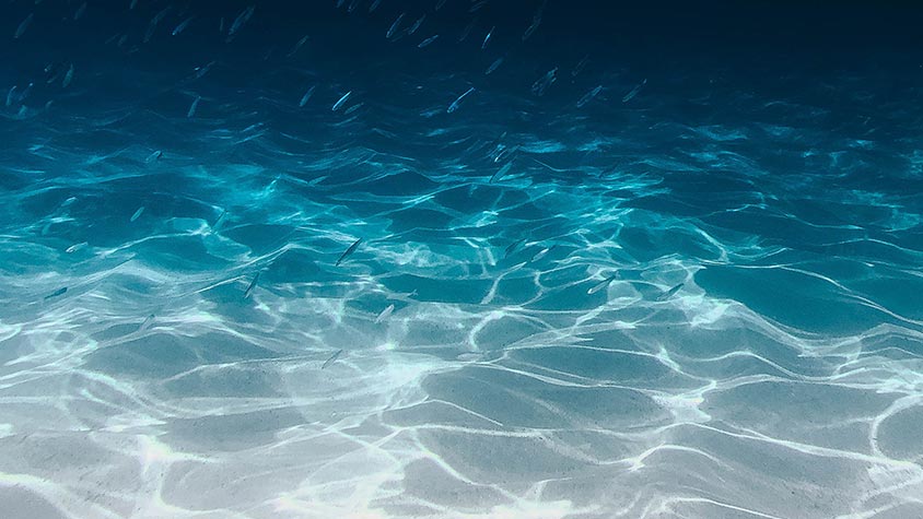 OCEAN ACTION FOR SUSTAINABILITY: BUILDING A GLOBAL VISION TO TACKLE PLASTIC POLLUTION