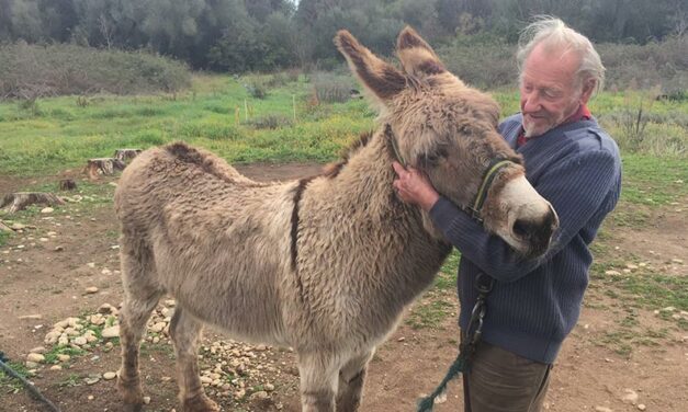 A MAN IN DIFFICULTY AND HIS INSEPARABLE COMPANION ANIMALS, OIPA CORSICA VOLUNTEERS LEND A HELPING HAND