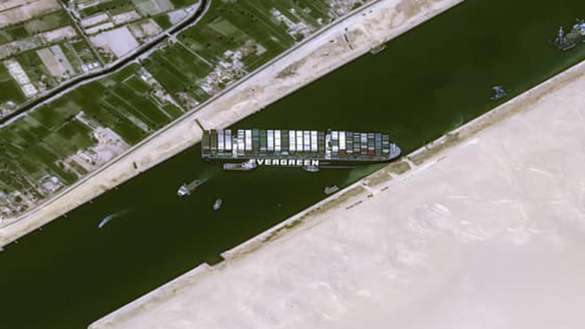 EGYPT’S SUEZ CANAL BLOCKED: CONCERNS FOR ANIMALS AT SEA ON LIVESTOCK VESSELS