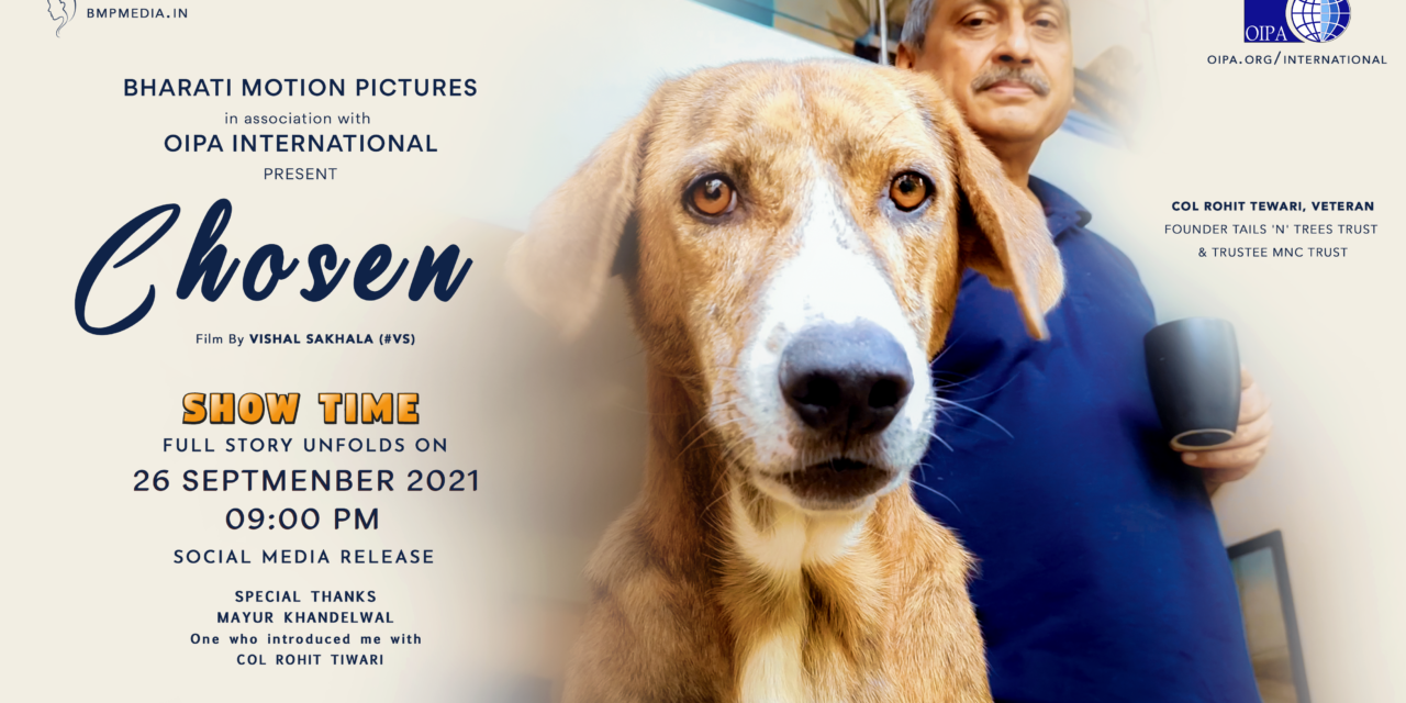 THE LIFE OF RESCUED AND ADOPTED PETS IN INDIA. A SERIES OF STORIES DOCUMENTED BY OUR LOCAL REPRESENTATIVE. SOON A NEW RELEASE “CHOSEN”